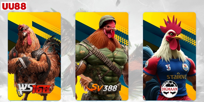 Các sảnh trong Đá gà UU88