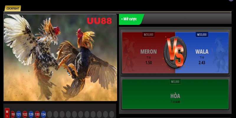 Hướng dẫn đặt cược trong Đá gà UU88
